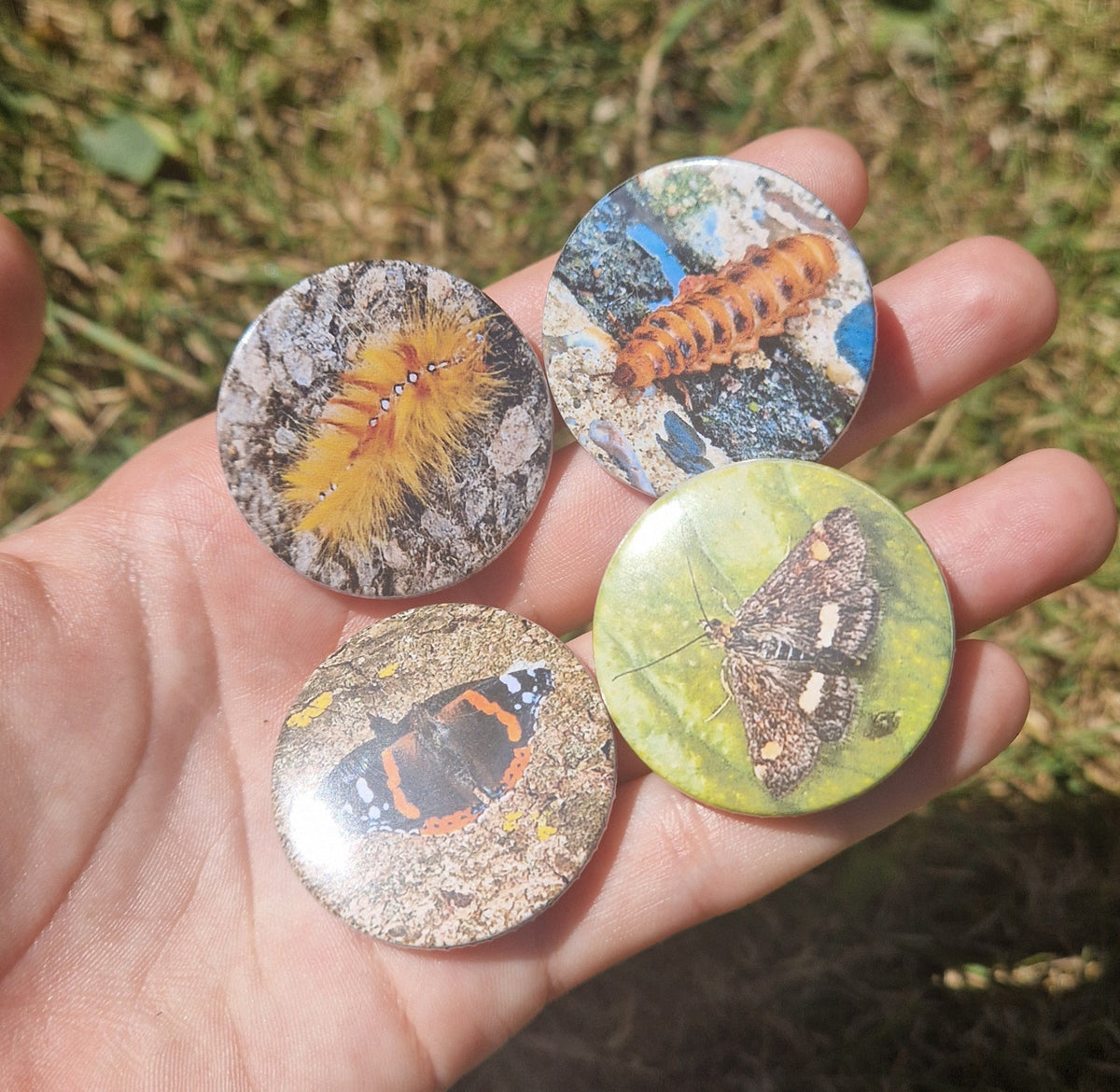 Bug Pin Badge Bundle #1